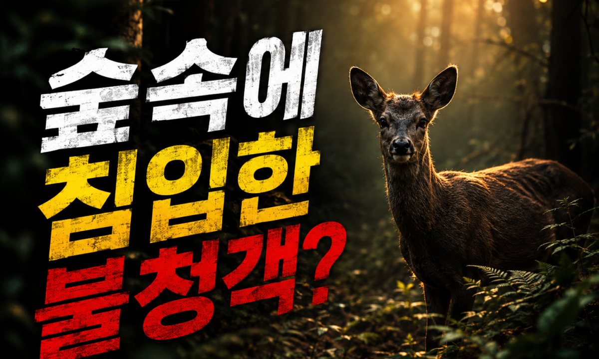 평화로운 숲속에 침입한 불청객, ‘아무도 없는 숲속에서’가 남