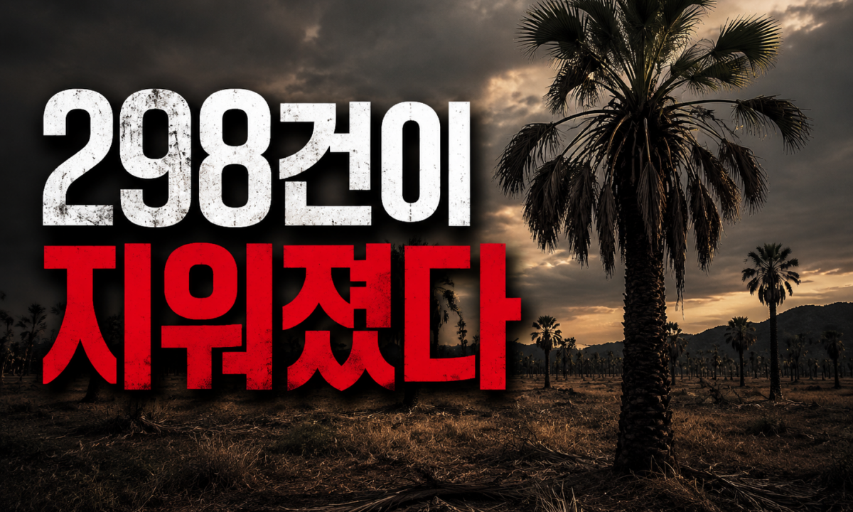 궁금한 이야기 Y '제주 셀프 종결', 실종 신고 298건은